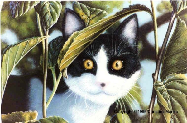 Cat painting